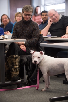 Jewell is attentive during the Joining Forces-UB Brown Bag Lunch. Jewell is a graduate of Dog Tags and a newly certified therapy dog. She stole the show! 